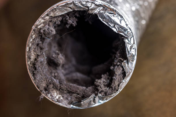 Best HVAC Duct Inspection Services  in Woodlawn Beach, FL